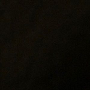 Meet your Posher, Brady